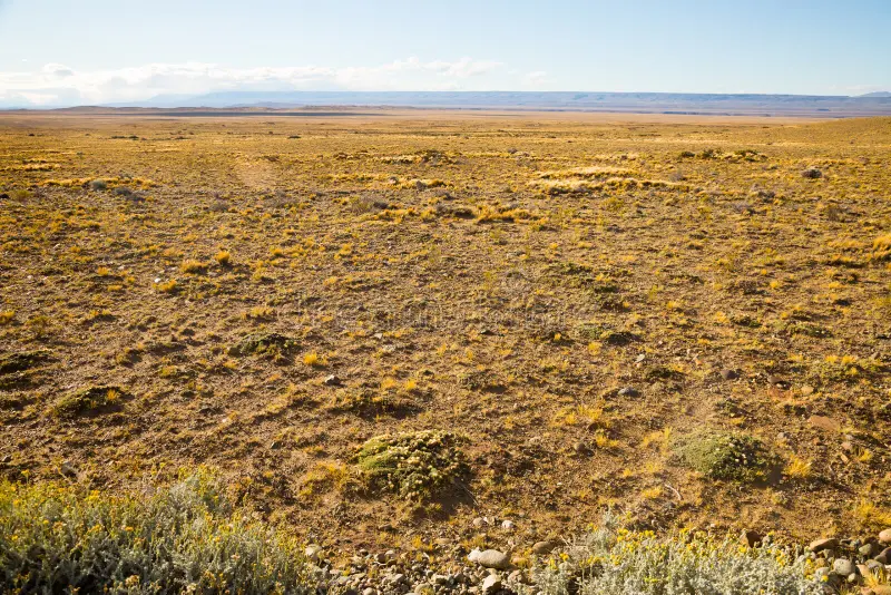 Steppes